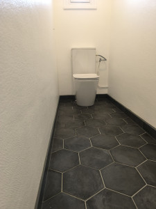Photo de galerie - Rénovation d'un wc. changement de wc et pose d'un carrelage hexagonale. 
