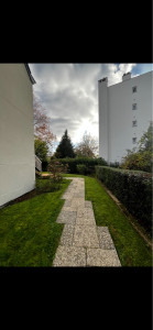 Photo de galerie - Taille dé haies et tonte 