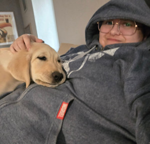 Photo de galerie - Russell, chiot Labrador 