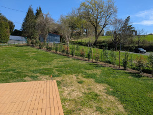 Photo de galerie - Plantation d'une haie mixte