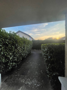 Photo de galerie - Jardinier