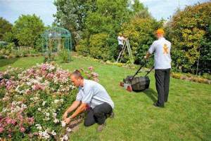 Photo de galerie - Entretien Tonte