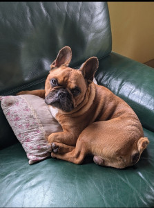 Photo de galerie - Un bou bou ?