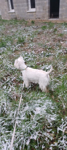 Photo de galerie - Undy 2 ans 