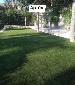 Photo de galerie - Avant - Mise en place du Gazon Naturel