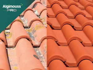 Photo de galerie - Couverture - Toiture