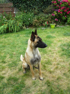 Photo de galerie - Dans le jardin.