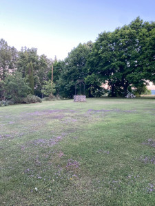 Photo de galerie - Jardinage paysagiste 