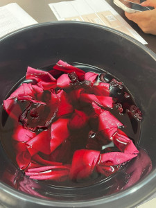 Photo de galerie - Animateur 