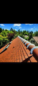 Photo de galerie - Cimentation faitage