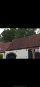 Photo de galerie - Peinture - Tapisserie