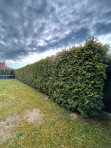 Photo de galerie - Clôture Grillage