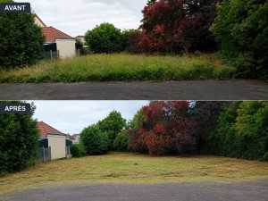 Photo de galerie - Défrichage de terrain  Avant-Après 