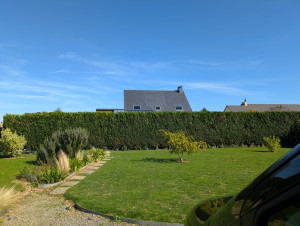 Photo de galerie - Taille de haies et d'arbustes