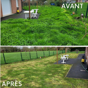 Photo de galerie - Tonte de pelouse - Débroussaillage