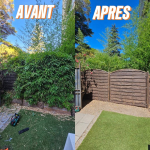Photo de galerie - Arrachage bambous