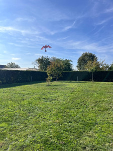 Photo de galerie - Taille de haie 