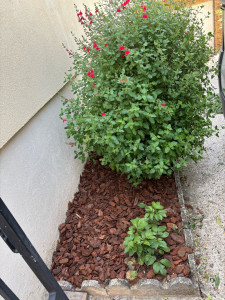 Photo de galerie - Paysagiste - Aménagement du jardin