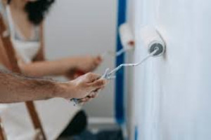 Photo de galerie - Peintre, pose tapisserie, toile de verre, placo