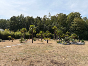 Photo de galerie - Paysagiste - Aménagement du jardin
