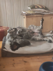 Photo de galerie - « Le confort avant la dignité »