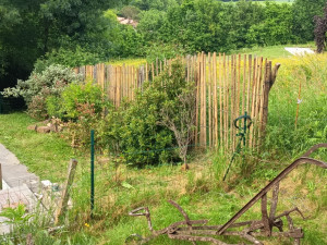 Photo de galerie - Paysagiste - Aménagement du jardin