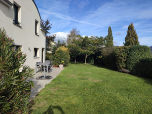 Photo de galerie - Taille de haies et d'arbustes