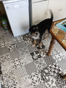 Photo de galerie - Cosette 