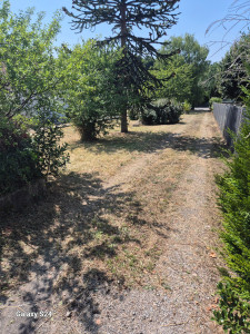 Photo de galerie - Tonte de pelouse - Débroussaillage