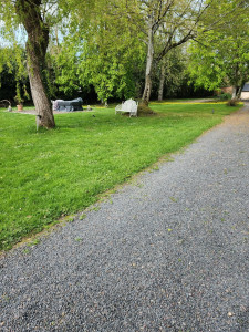 Photo de galerie - Tonte avant 