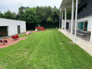 Photo de galerie - Tonte de pelouse - Débroussaillage