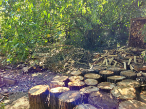 Photo de galerie - Abattage, découpe et fendage de bois de chauffage