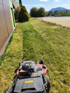 Photo de galerie - Entretien d'un jardin en cours ! 