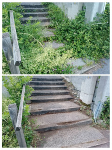 Photo de galerie - Avant/après réalisé à la main et au sécateur pour ne pas endommager les éventuelles câble. 