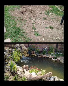 Photo de galerie - Paysagiste - Aménagement du jardin