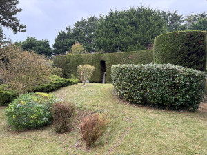 Photo de galerie - Taille de haies et tonte pelouse 