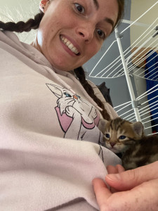 Photo de galerie - Visite chaton