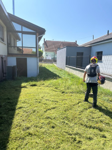 Photo de galerie - Tonte et débroussaillage d’une pelouse