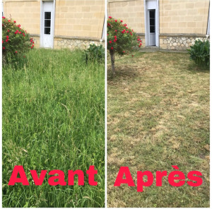 Photo de galerie - Tonte de pelouse - Débroussaillage