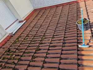 Photo de galerie - Couverture - Toiture