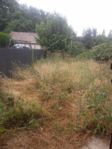 Photo de galerie - Jardinier