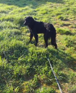 Photo de galerie - Première balade