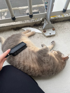 Photo de galerie - Pleins de câlins avec leurs accessoires préférés 