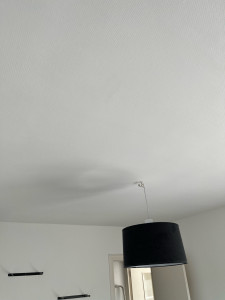 Photo de galerie - Plâtrerie - Murs - Plafonds