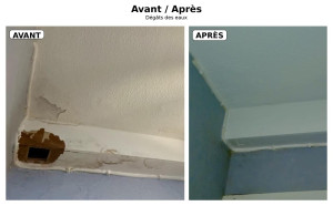 Photo de galerie - Dégâts des eaux plafond et boiserie. 