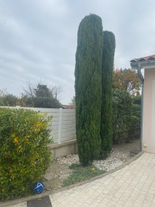 Photo de galerie - Après 