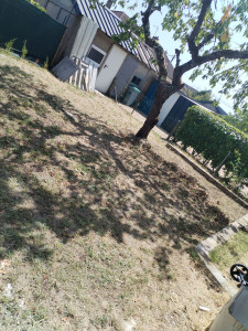 Photo de galerie - Nettoyage pelouse et désherbage 