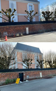 Photo de galerie - élagage 