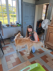 Photo de galerie - Garde d’animaux !