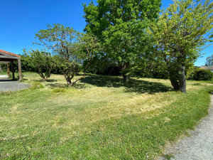 Photo de galerie - Tonte taille d’arbres et autres 